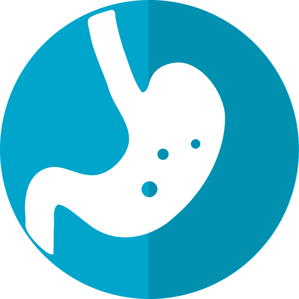 stomach-icon-2316627_1280