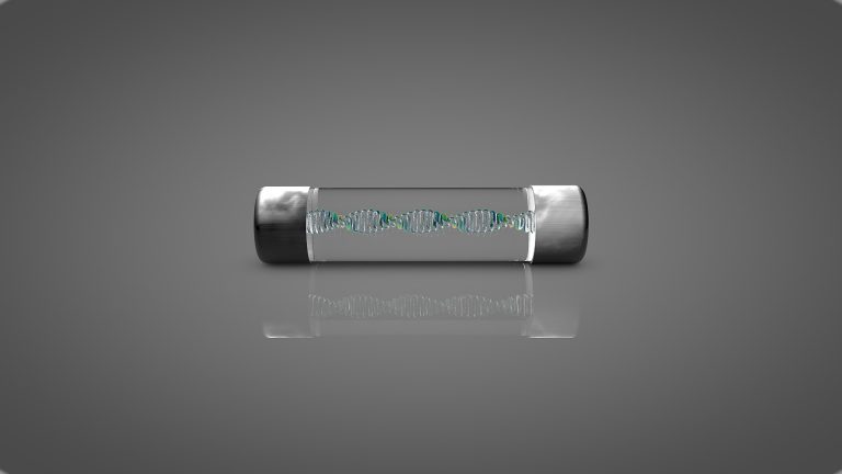 fuse-2843431_1920