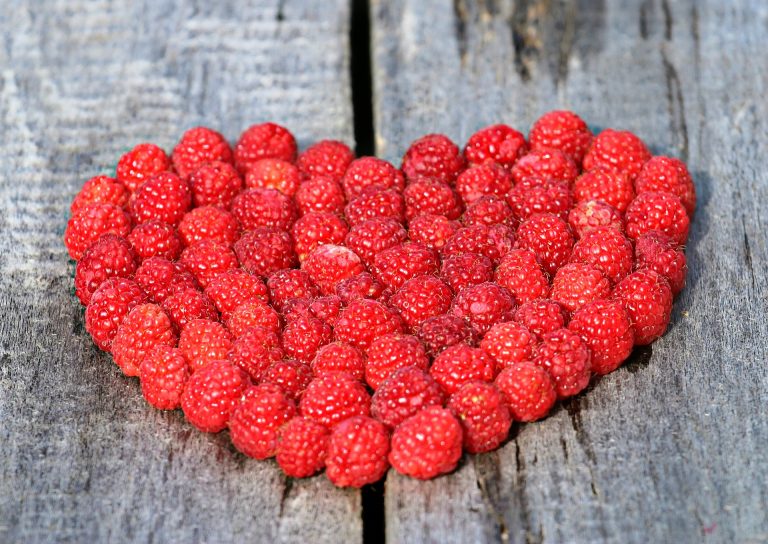 raspberry-1503998_1920