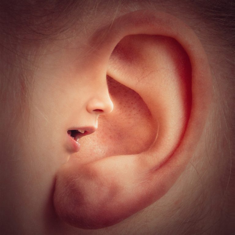 ear-g40b911e15_1920