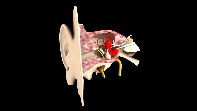 hearing-g791ffbafb_1280