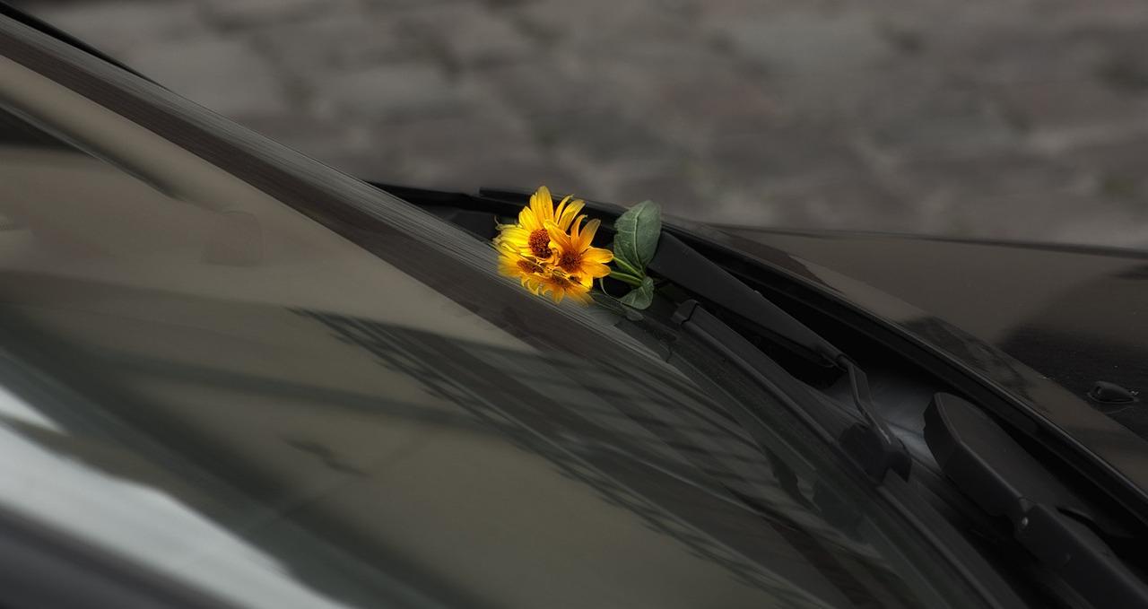 forgive-g82d4a66c2_1280