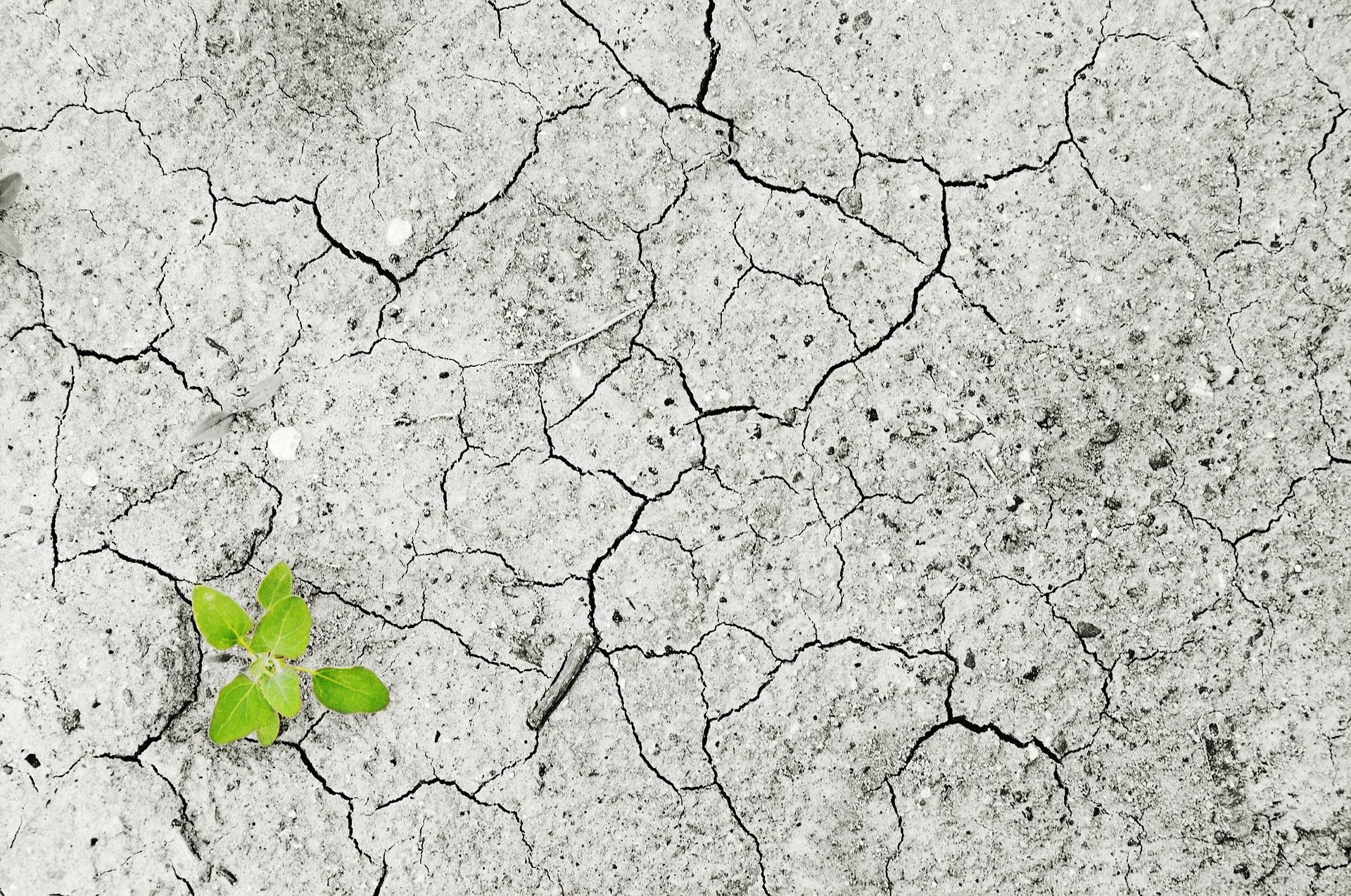 climate-change-g20345dd85_1920