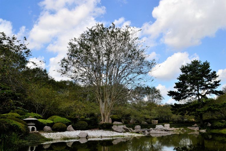 japanese-garden-g4e27b5f8a_1920