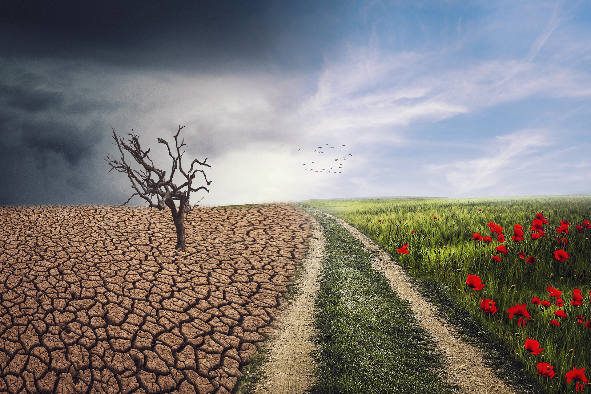 pxclimateaction-ga8cf5535f_1920
