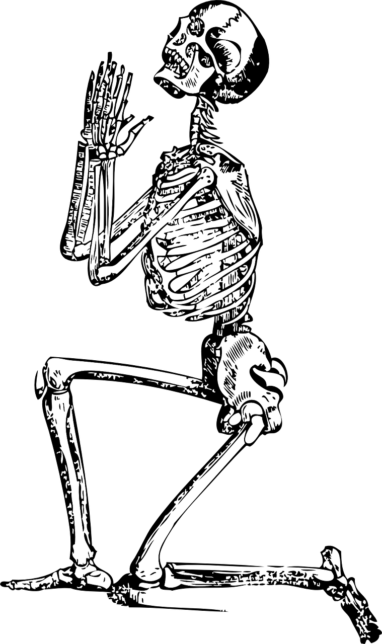 skeleton-g51736de3e_1280