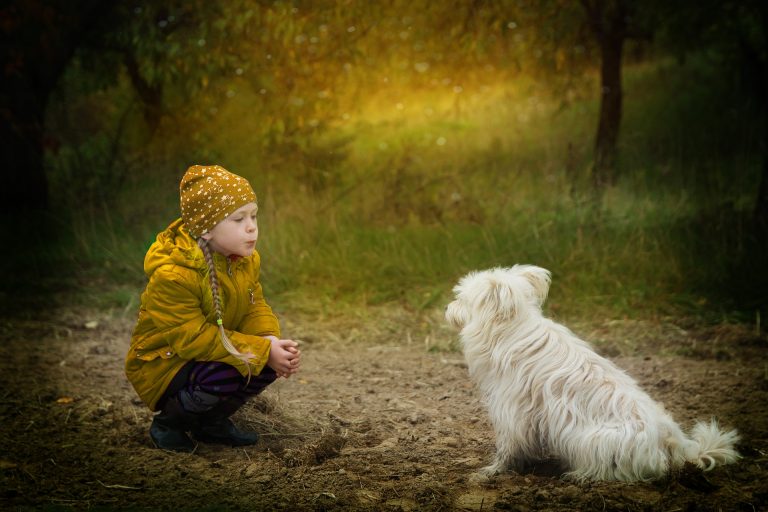 friendship-gafe6968e6_1920
