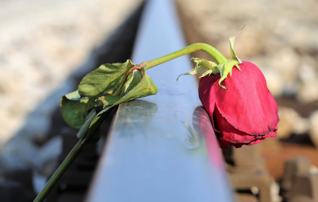 sad-red-rose-gd6258f1ed_1920