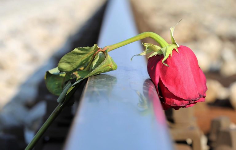 sad-red-rose-gd6258f1ed_1920