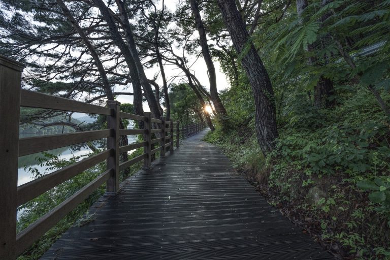walk-g67d5cd7bb_1920