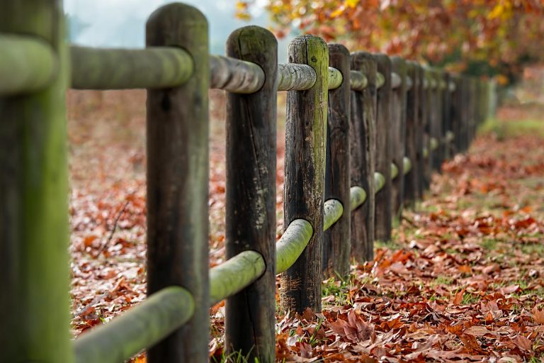 fence-posts-gde3178c6c_1920