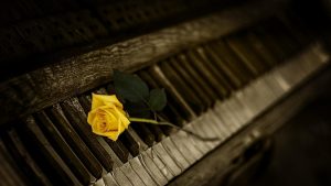 piano-gb0c138a55_1280