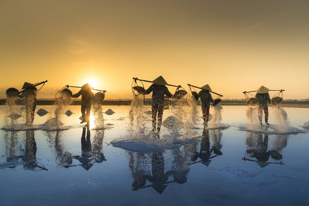 salt-harvesting-g6a8640c2a_1920