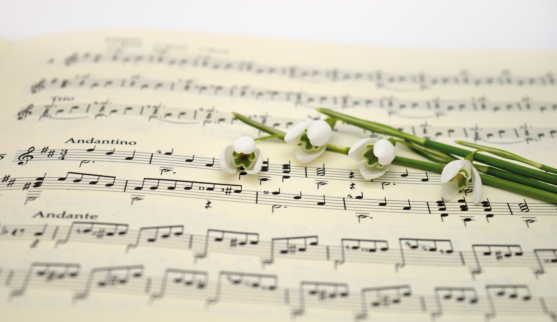 music-g9e54605d4_1920