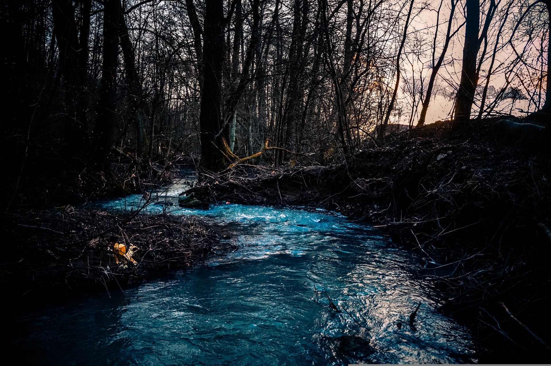 nature-g4db61800e_1920