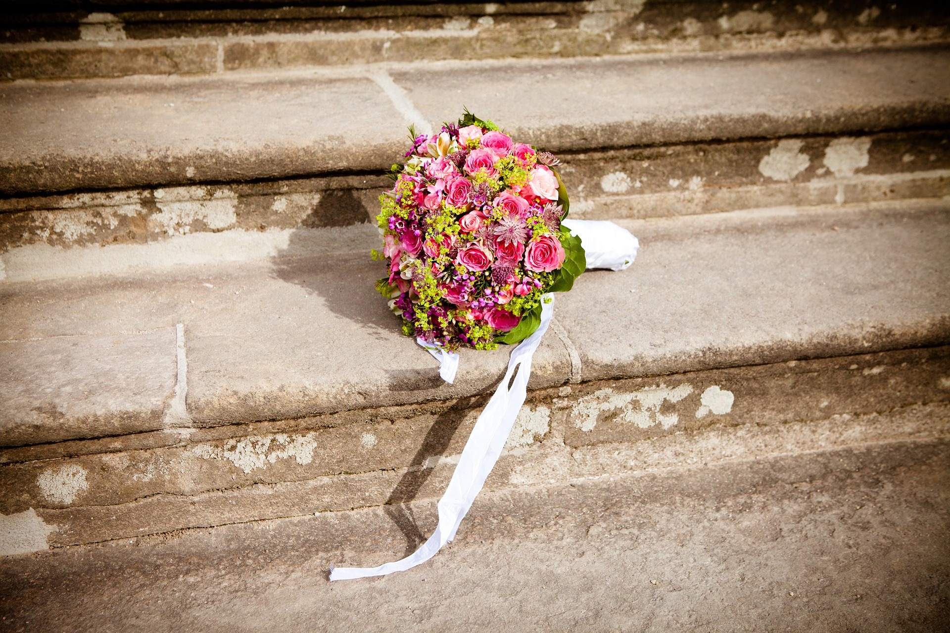 flowers-g7b5cd1a19_1920