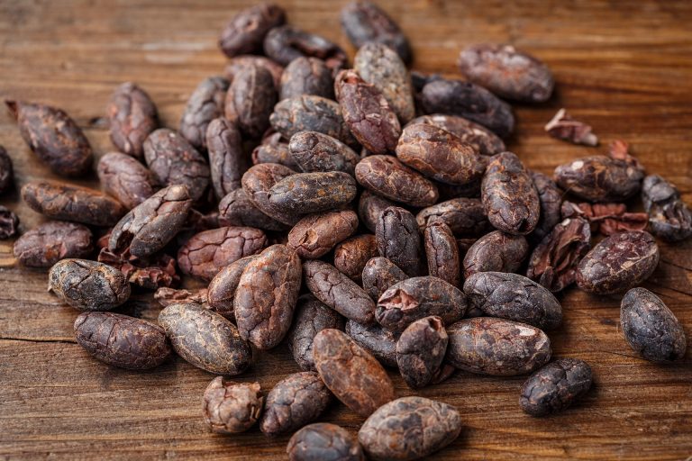 cacao-bean-2522918_1920