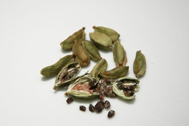 cardamom-674506_1920