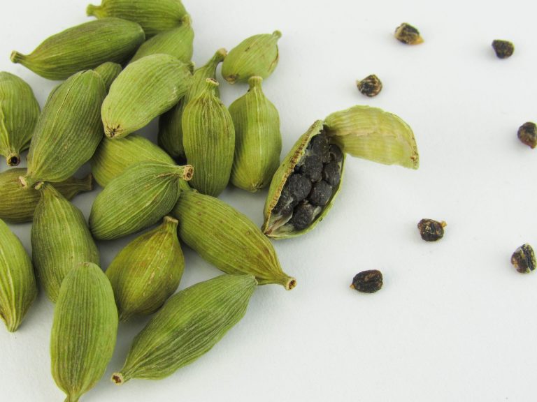 cardamom-6939528_1920