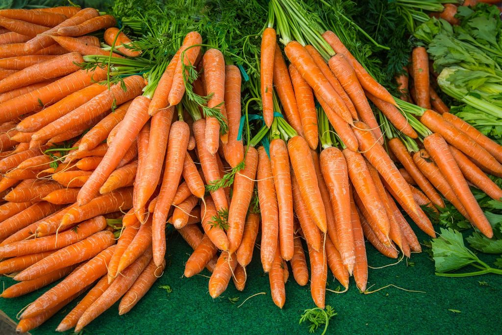 carrot-2309814_1920