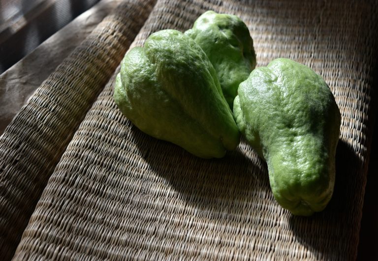 chayote-5698376_1920