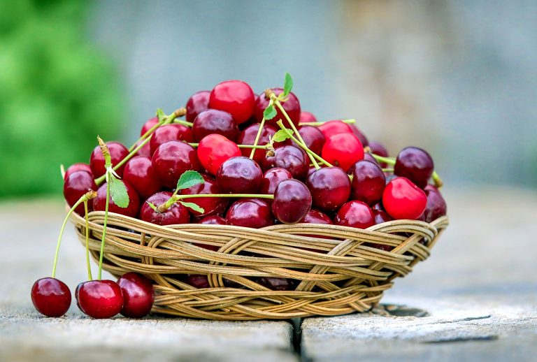 cherry-2554364_1920