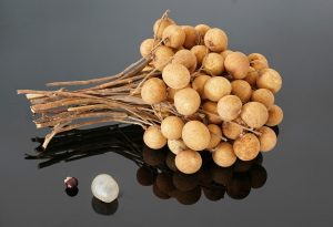 dimocarpus-longan-3354180_1920