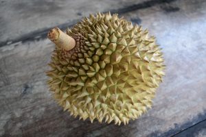 durian-6790475_1920