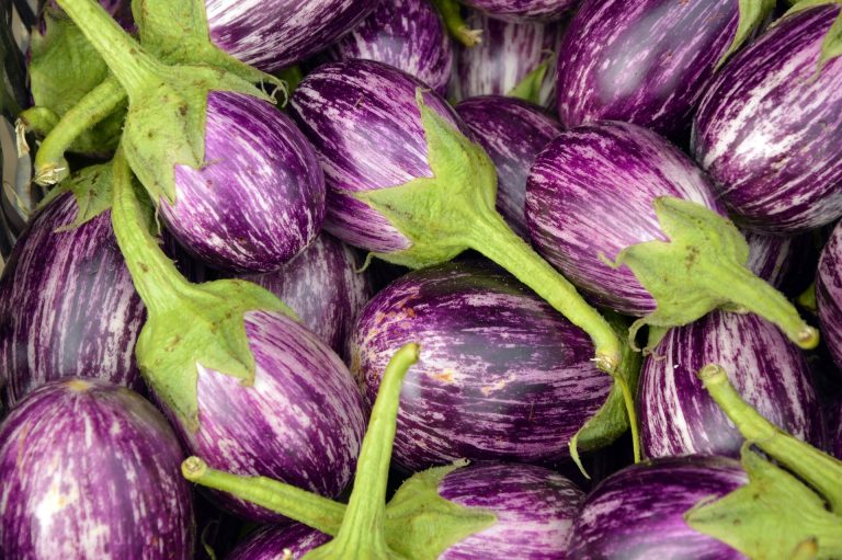 eggplant-3758698_1920