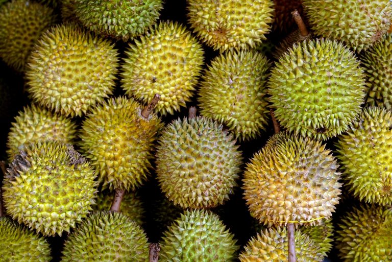fruit-6541599_1920