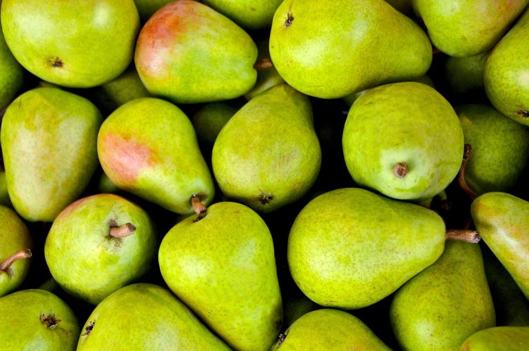 fruits-1534494_1920