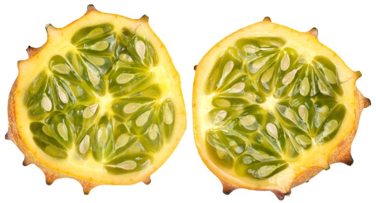 horned-melon-1269999_1920