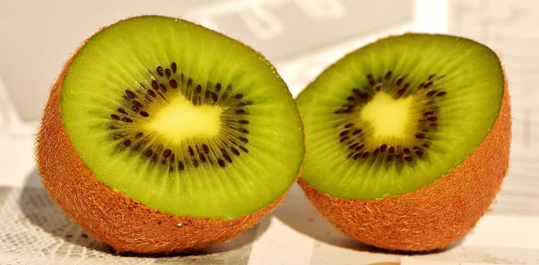kiwi-3089125_1920