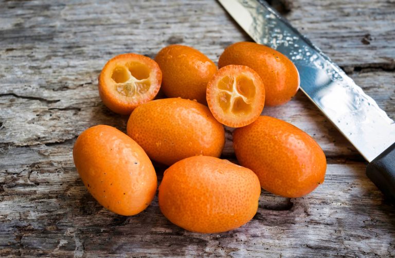 kumquats-3399712_1920