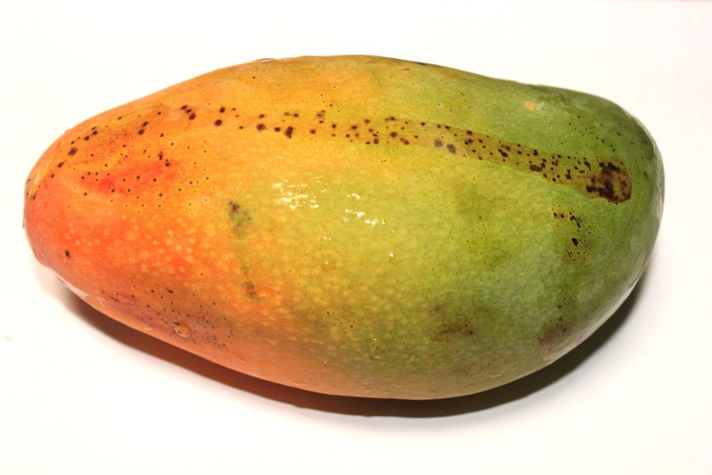 mango-896179_1920