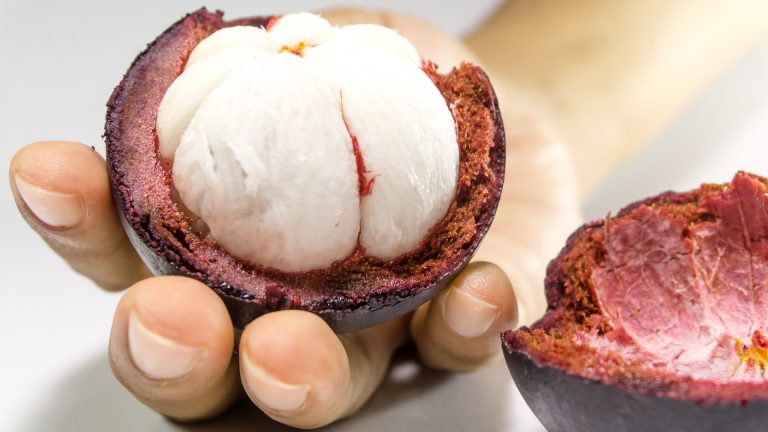 mangosteen-2477600_1920