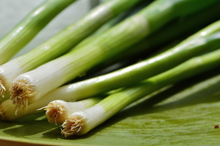 spring-onions-1303271_1920