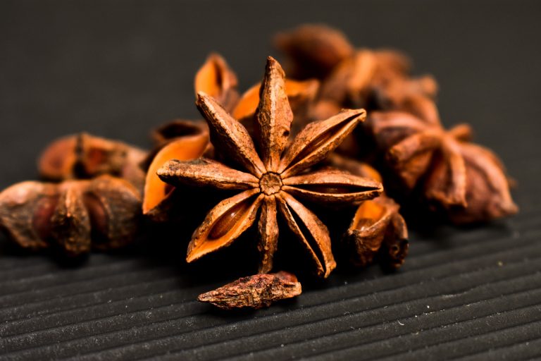 star-anise-3464683_1920