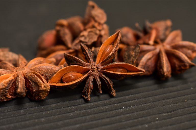 star-anise-3464684_1920