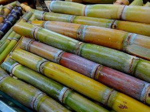 sugar-cane-276242_1920