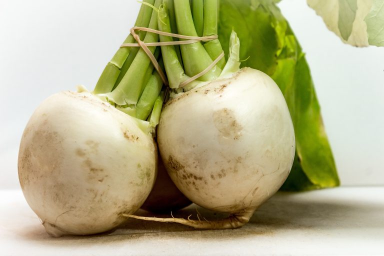 turnip-5231855_1920