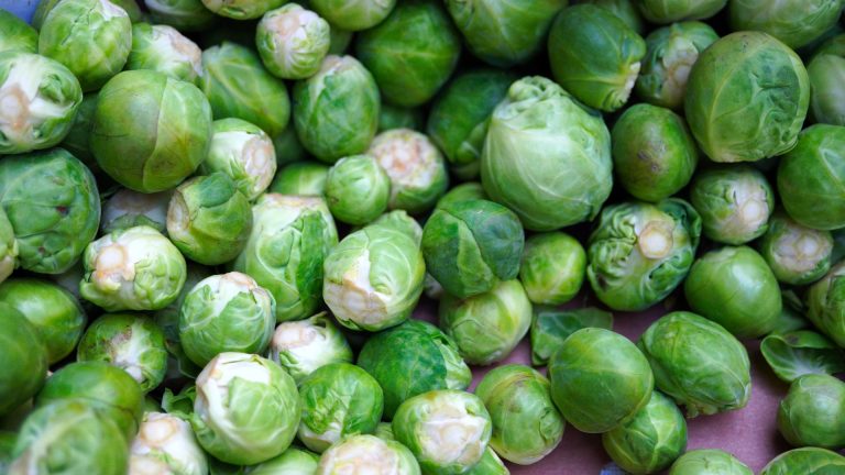 brussels-sprouts-5962168_1920